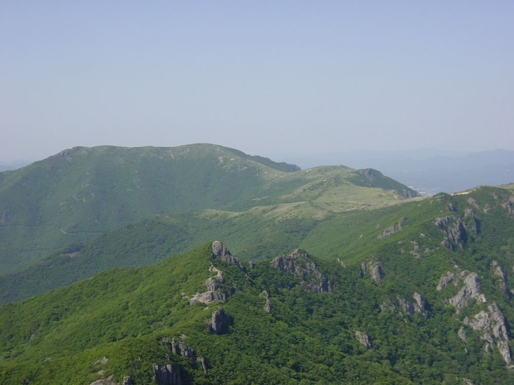 Dsc00005.jpg