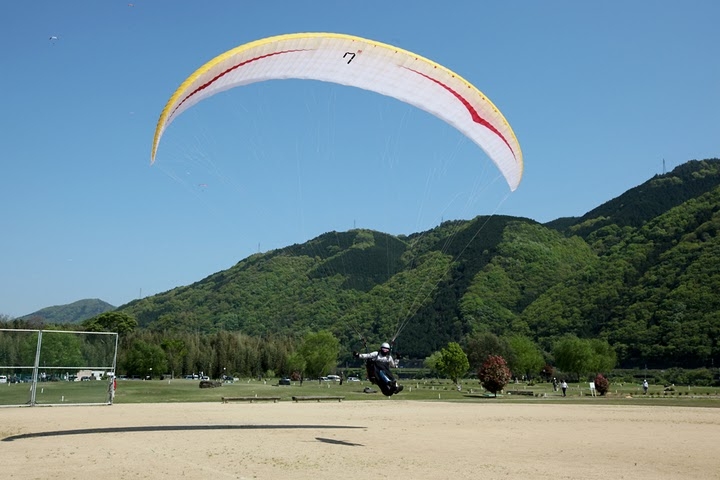 d2065.jpg