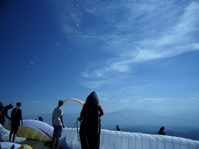 SDC12096.jpg