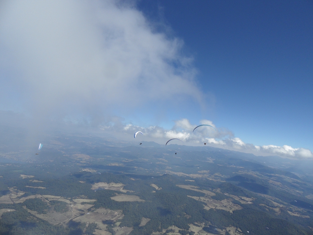 SDC10887.jpg