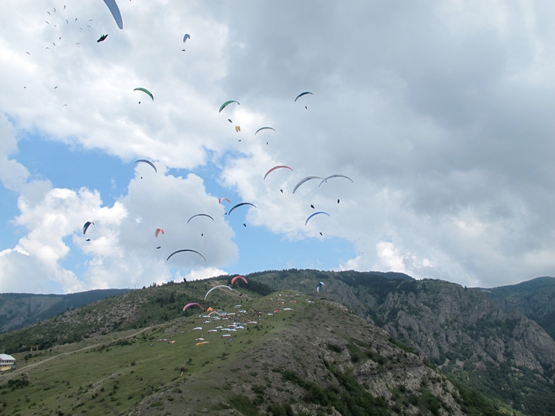 lIMG_8085.jpg