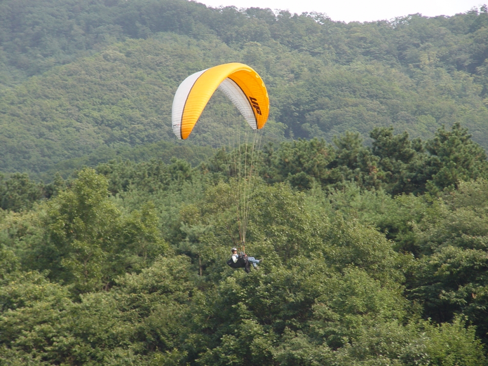 2004-up 007.jpg