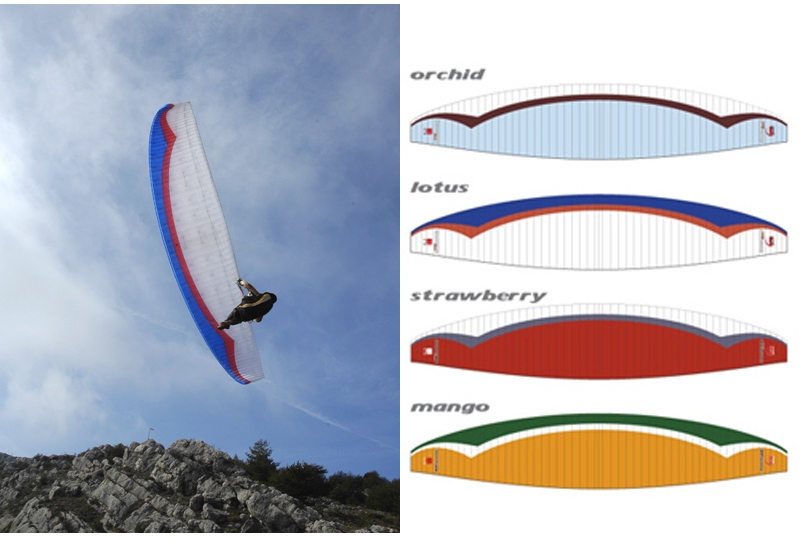 Boomerang Sport Colour-img.jpg