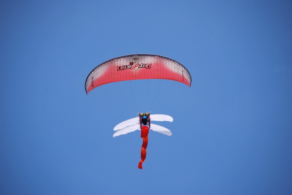 DSC_0222[1].jpg