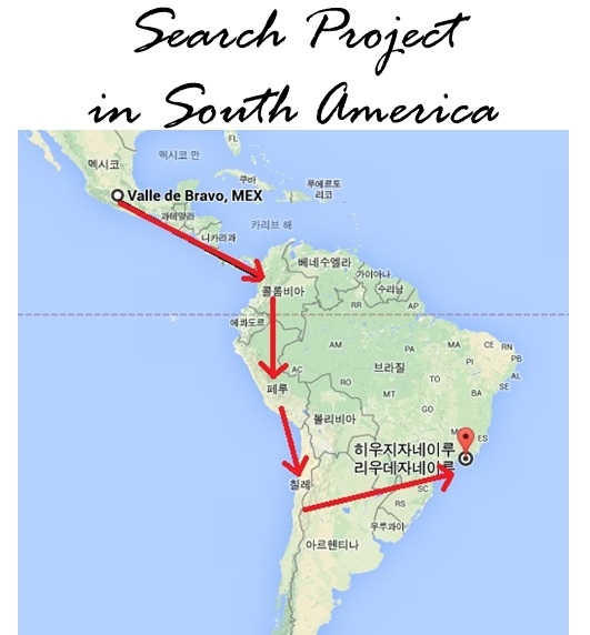search project.jpg