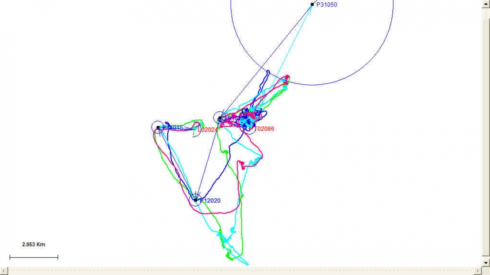 task3-track.jpg