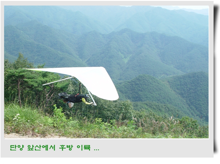 choi01.jpg