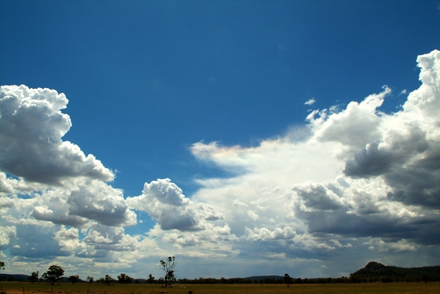 DSCF0067.jpg