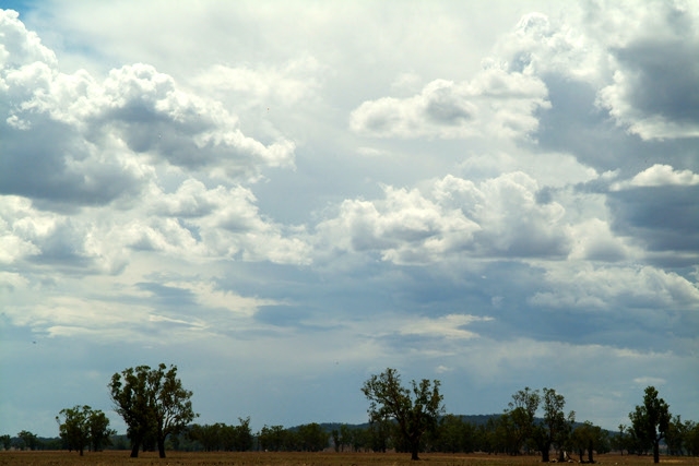 DSCF0072.jpg