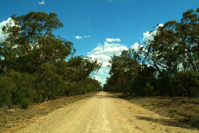 DSCF0083.jpg