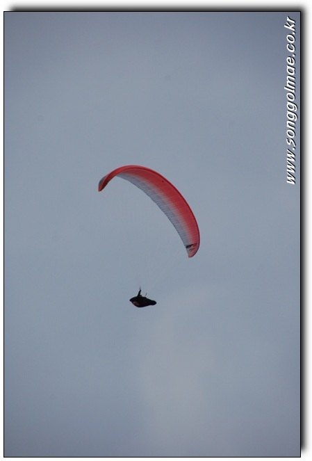 DSC_0086.jpg