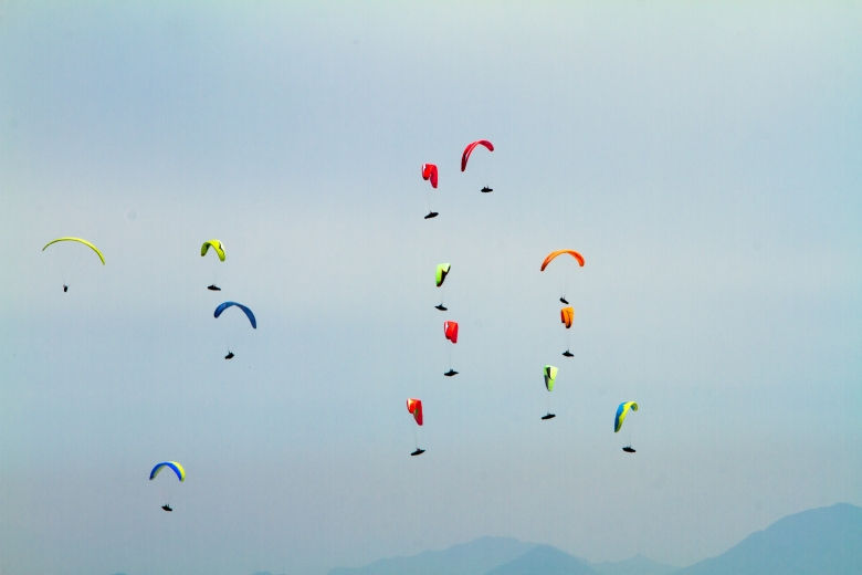 _MG_5243.jpg