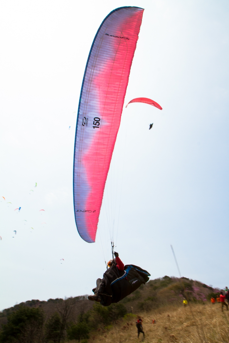 _MG_5288.jpg