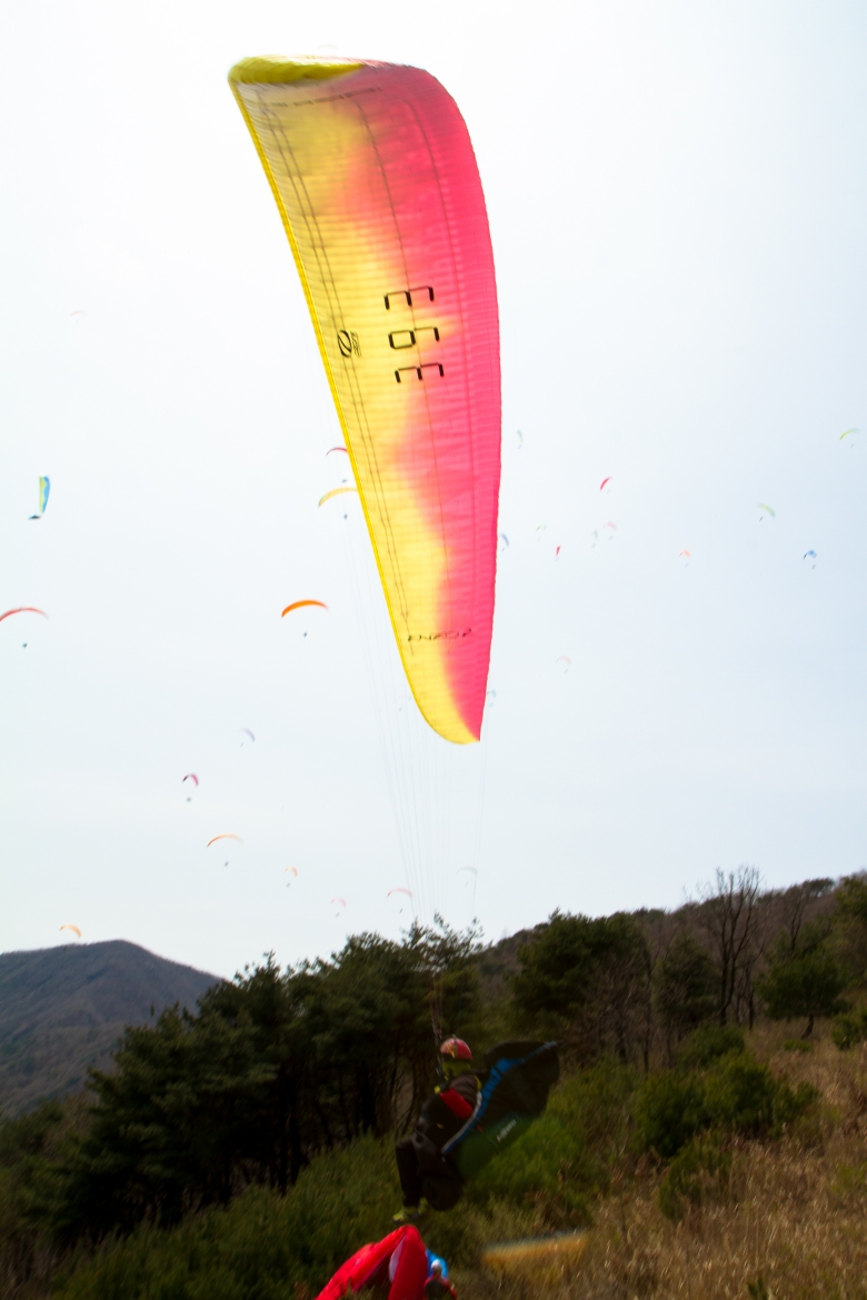 _MG_5318.jpg