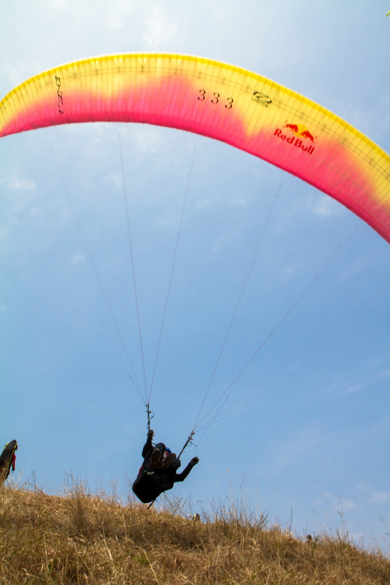 _MG_5324.jpg