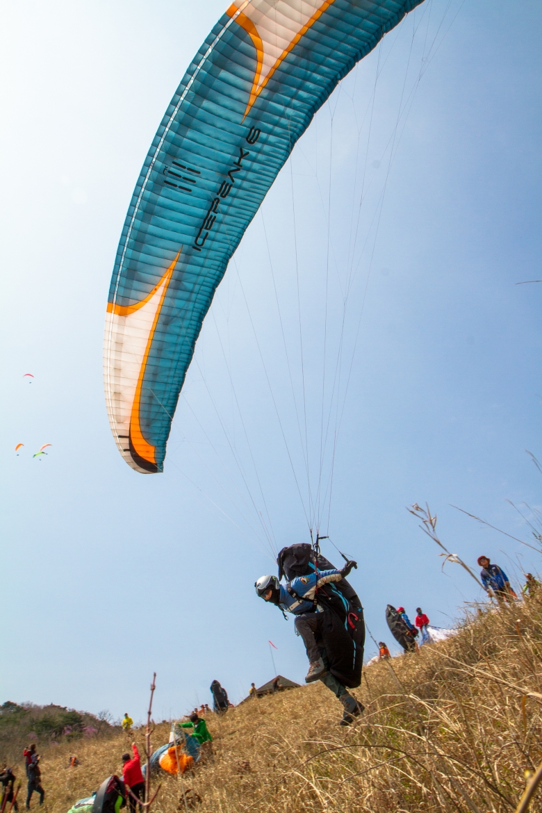 _MG_5384.jpg
