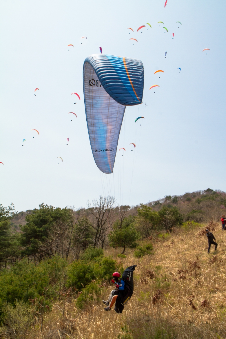 _MG_5401.jpg