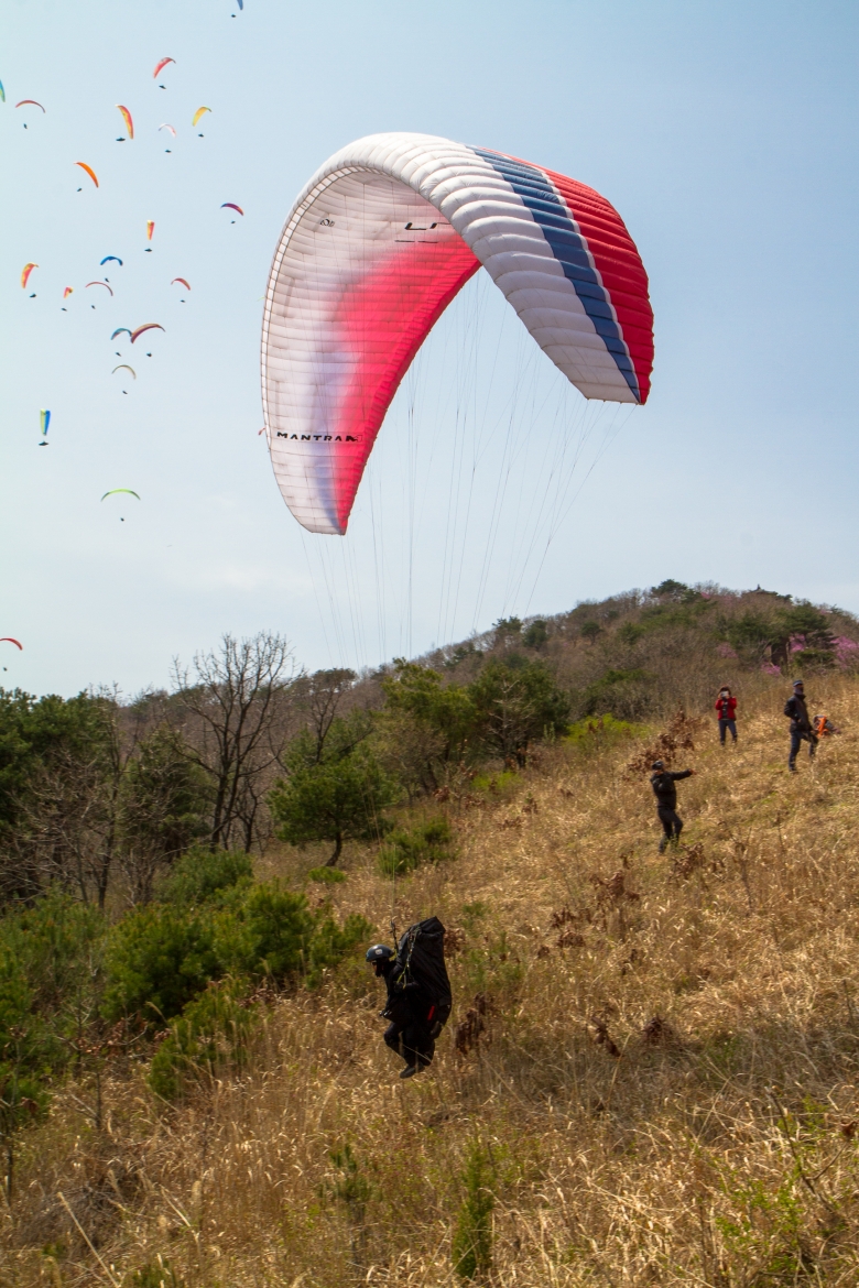 _MG_5423.jpg