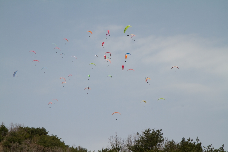 _MG_5472.jpg