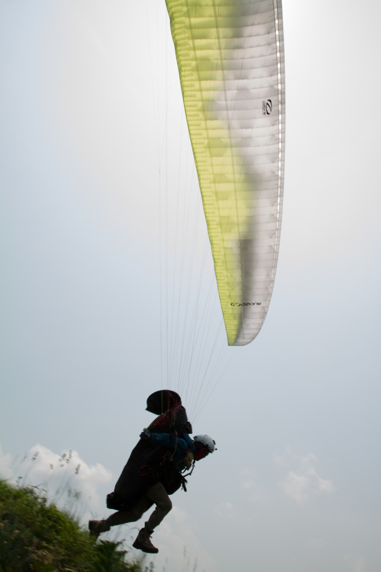 _MG_8858.jpg