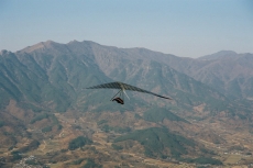 하동 대통령배 XC