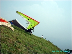 2005 영월동강대회