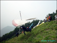 2005 영월동강대회
