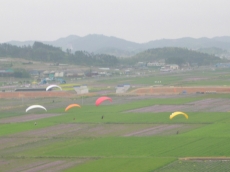 함평 들력